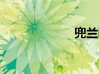 兜兰图片（兜兰）