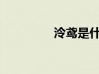泠鸢是什么意思?（泠鸢）