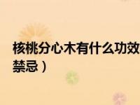 核桃分心木有什么功效和作用（核桃分心木的功效与作用及禁忌）