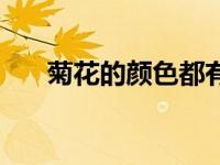菊花的颜色都有什么色（菊花的颜色）