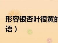 形容银杏叶很黄的成语（描写黄色银杏叶的成语）