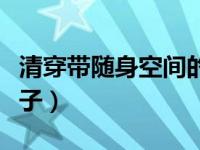 清穿带随身空间的小说（清穿之带着空间生包子）