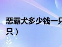 恶霸犬多少钱一只幼犬（美国恶霸犬多少钱一只）