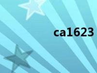 ca1623（CA1613简介）