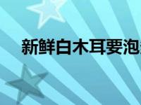 新鲜白木耳要泡多久（白木耳要泡多久）