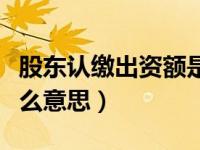 股东认缴出资额是什么意思（认缴出资额是什么意思）