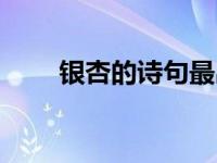 银杏的诗句最出名的（银杏的诗句）