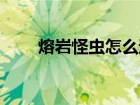熔岩怪虫怎么过（熔岩怪虫怎么打）