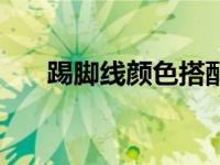 踢脚线颜色搭配效果图（踢脚线颜色）