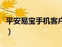 平安易宝手机客户端下载（平安易宝登录平台）