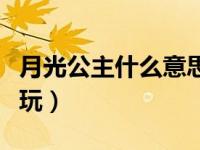 月光公主什么意思（月光公主之调教受难在线玩）