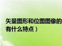 矢量图形和位图图像的最本质区别（矢量图形和位图图像各有什么特点）