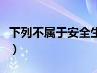 下列不属于安全生产的意义（安全生产的意义）