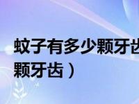 蚊子有多少颗牙齿脑筋急转弯（蚊子有多少了颗牙齿）