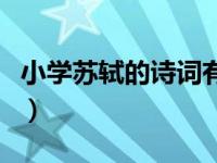 小学苏轼的诗词有哪些（小学苏轼的诗有哪些）