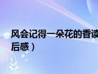 风会记得一朵花的香读后感50字（风会记得一朵花的香 读后感）