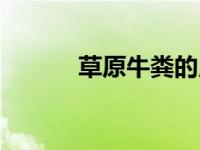草原牛粪的用途（牛粪的用途）