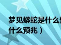 梦见蟒蛇是什么预兆 男性已婚（梦见蟒蛇是什么预兆）