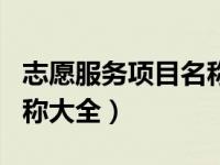 志愿服务项目名称大全游园（志愿服务项目名称大全）