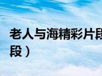 老人与海精彩片段和感悟（老人与海的精彩片段）