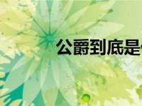 公爵到底是什么（公爵的意思）