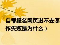自考报名网页进不去怎么回事呢（网上自学考试报名老是操作失败是为什么）