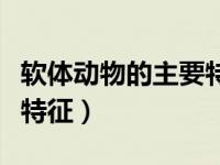 软体动物的主要特征有哪些（软体动物的主要特征）