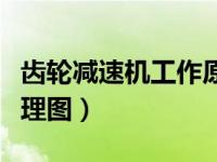 齿轮减速机工作原理图解（齿轮减速机工作原理图）