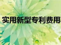 实用新型专利费用减免（实用新型专利费用）