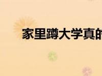 家里蹲大学真的存在吗（家里蹲大学）