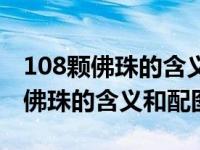 108颗佛珠的含义和配图第四十九颗（108颗佛珠的含义和配图）