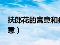 扶郎花的寓意和象征着?（扶郎花的花语和寓意）