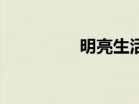 明亮生活（明生活简介）