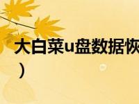 大白菜u盘数据恢复（大白菜u盘恢复普通u盘）