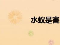 水蚁是害虫吗（水蚁有毒）
