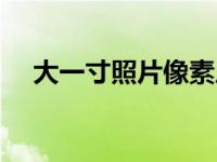 大一寸照片像素尺寸（大一寸照片像素）