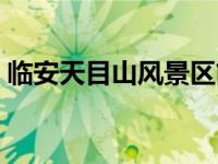 临安天目山风景区简介（临安天目山风景区）