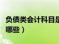 负债类会计科目是什么（负债类的会计科目有哪些）