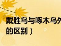戴胜鸟与啄木鸟外形的区别（戴胜鸟和啄木鸟的区别）