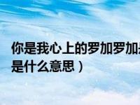 你是我心上的罗加罗加是什么意思（你是我心上的罗加 罗加是什么意思）
