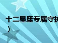 十二星座专属守护神器（十二星座的守护神器）