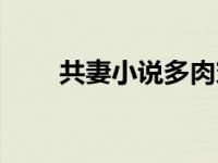 共妻小说多肉穿越小说（共妻小说）