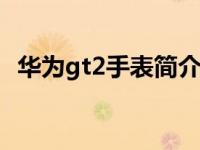 华为gt2手表简介（华为Watch GT2简介）