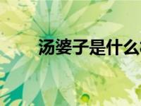 汤婆子是什么材质（汤婆子是什么）