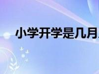 小学开学是几月几号（开学是几月几号）