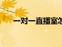 一对一直播室怎么开（一对一直播室）