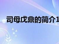 司母戊鼎的简介150字（司母戊鼎的简介）