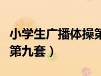 小学生广播体操第九套分解（小学生广播体操第九套）