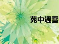 苑中遇雪应制（应制简介）
