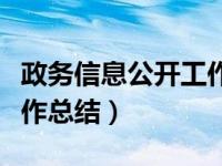 政务信息公开工作总结汇报（政务信息公开工作总结）